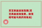 灵芝表面逐渐发黑(灵芝表面逐渐变黑，新发现可能与其药效有关)