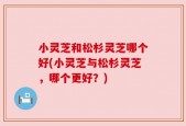 小灵芝和松杉灵芝哪个好(小灵芝与松杉灵芝，哪个更好？)