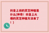 抖音上说的灵芝种植是什么(神奇！抖音上火爆的灵芝种植方法来了！)