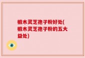 椴木灵芝孢子粉好处(椴木灵芝孢子粉的五大益处)