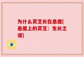 为什么灵芝长在悬崖(悬崖上的灵芝：生长之谜)