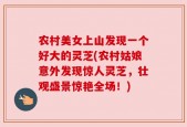 农村美女上山发现一个好大的灵芝(农村姑娘意外发现惊人灵芝，壮观盛景惊艳全场！)