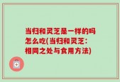 当归和灵芝是一样的吗怎么吃(当归和灵芝：相同之处与食用方法)