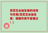 煲灵芝水加生姜的功效与作用(煲灵芝水加生姜：保健作用不容错过！)