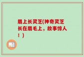 眉上长灵芝(神奇灵芝长在眉毛上，故事惊人！)
