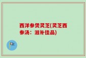 西洋参煲灵芝(灵芝西参汤：滋补佳品)