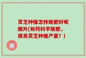 灵芝种植怎样施肥好呢图片(如何科学施肥，提高灵芝种植产量？)