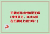 芒果树可以种植灵芝吗(种植灵芝，可以选择在芒果树上进行吗？)