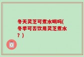 冬天灵芝可煮水喝吗(冬季可否饮用灵芝煮水？)