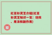 红豆衫灵芝介绍(红豆衫灵芝知识一览：功效、用法和副作用)