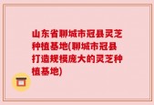 山东省聊城市冠县灵芝种植基地(聊城市冠县打造规模庞大的灵芝种植基地)