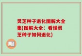 灵芝种子退化图解大全集(图解大全：看懂灵芝种子如何退化)