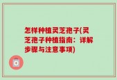 怎样种植灵芝孢子(灵芝孢子种植指南：详解步骤与注意事项)