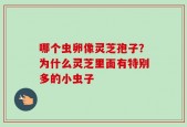 哪个虫卵像灵芝孢子？为什么灵芝里面有特别多的小虫子