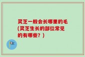 灵芝一般会长哪里的毛(灵芝生长的部位常见的有哪些？)