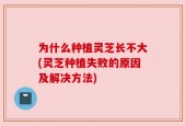 为什么种植灵芝长不大(灵芝种植失败的原因及解决方法)