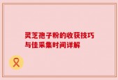 灵芝孢子粉的收获技巧与佳采集时间详解