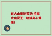 在大山里挖灵芝(挖掘大山灵芝，助益身心健康)
