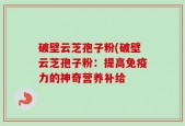 破壁云芝孢子粉(破壁云芝孢子粉：提高免疫力的神奇营养补给