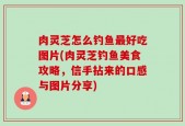 肉灵芝怎么钓鱼最好吃图片(肉灵芝钓鱼美食攻略，信手拈来的口感与图片分享)