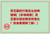 灵芝菌的行情怎么样啊视频(【市场观察】灵芝菌价格近期怎样变化？快来看视频了解！)