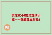 灵芝纹小蝶(灵芝纹小蝶——奇趣昆虫彩绘)