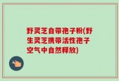 野灵芝自带孢子粉(野生灵芝携带活性孢子 空气中自然释放)
