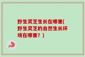 野生灵芝生长在哪里(野生灵芝的自然生长环境在哪里？)