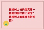 核桃树上长的像灵芝一样的如何吃树上灵芝？核桃树上的美味有何妙招)