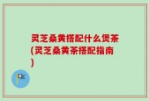 灵芝桑黄搭配什么煲茶(灵芝桑黄茶搭配指南)
