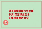 灵芝菌摆盘图片大全集欣赏(灵芝摆盘艺术：汇集精美图片大全)