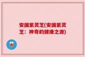 安国紫灵芝(安国紫灵芝：神奇的健康之源)