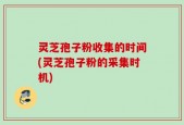 灵芝孢子粉收集的时间(灵芝孢子粉的采集时机)