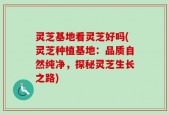 灵芝基地看灵芝好吗(灵芝种植基地：品质自然纯净，探秘灵芝生长之路)