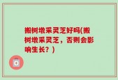 搬树墩采灵芝好吗(搬树墩采灵芝，否则会影响生长？)