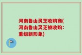 河南鲁山灵芝收购商(河南鲁山灵芝被收购：重组新形象)
