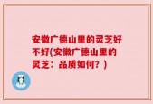 安徽广德山里的灵芝好不好(安徽广德山里的灵芝：品质如何？)