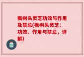 枫树头灵芝功效与作用及禁忌(枫树头灵芝：功效、作用与禁忌，详解)