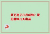 灵芝孢子几月成熟？灵芝菌棒几天出苗