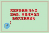 灵芝背景视频(浸入灵芝美景，享受纯净自然  生态灵芝视频巡礼)