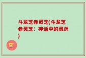 斗龙芝赤灵芝(斗龙芝赤灵芝：神话中的灵药)