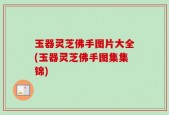 玉器灵芝佛手图片大全(玉器灵芝佛手图集集锦)