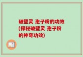 破壁灵 孢子粉的功效(探秘破壁灵 孢子粉的神奇功效)