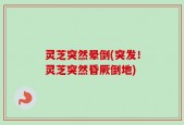 灵芝突然晕倒(突发！灵芝突然昏厥倒地)