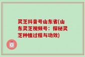 灵芝抖音号山东省(山东灵芝视频号：探秘灵芝种植过程与功效)