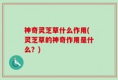 神奇灵芝草什么作用(灵芝草的神奇作用是什么？)