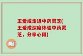 王爱成走进中药灵芝(王爱成深度体验中药灵芝，分享心得)