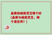 桑黄和蜂窝灵芝哪个好(桑黄与蜂窝灵芝，哪个更优秀？)