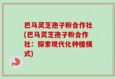 巴马灵芝孢子粉合作社(巴马灵芝孢子粉合作社：探索现代化种植模式)