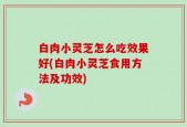 白肉小灵芝怎么吃效果好(白肉小灵芝食用方法及功效)
